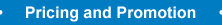 Pricing and Propmotion